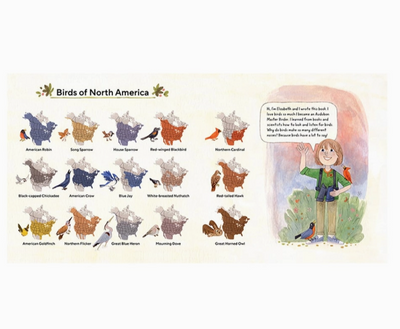 Birds Have A Lot To Say Picture Book For Children