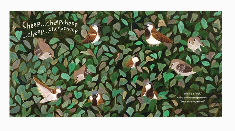 Birds Have A Lot To Say Picture Book For Children