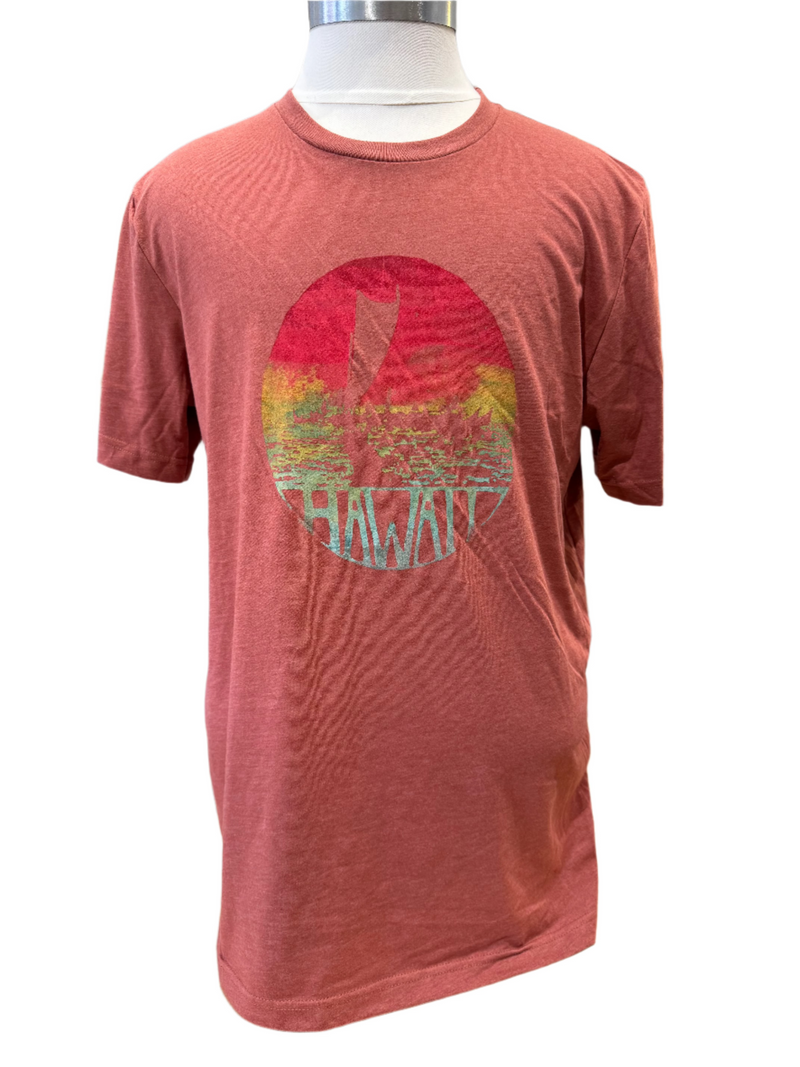 Vintage Hawaii Mens Tee in Clay