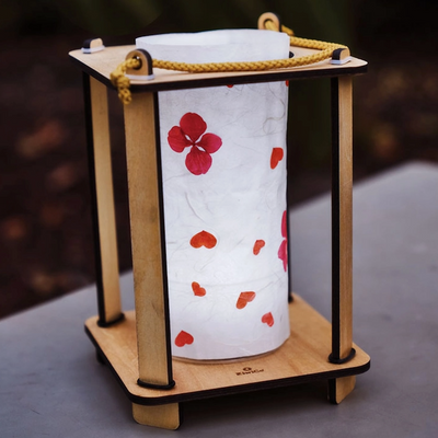 Nature Walk Lantern Science Kit For Kids