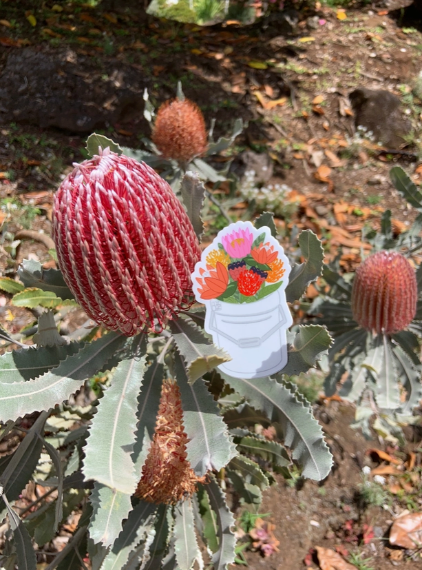 Protea Bucket Stickers