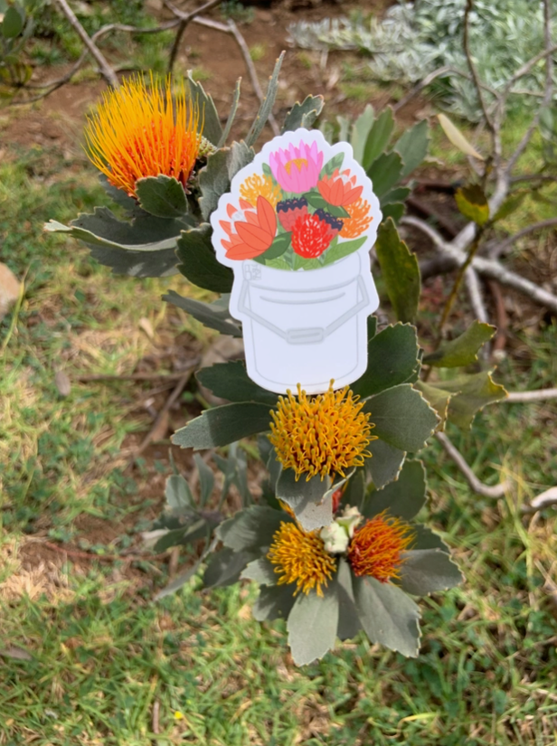 Protea Bucket Stickers
