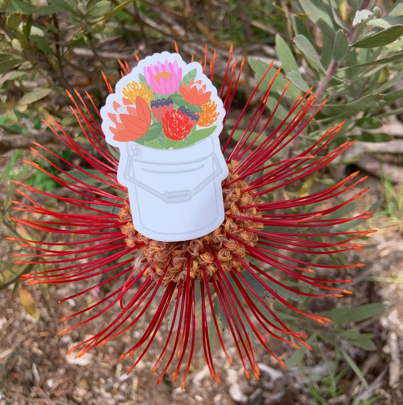 Protea Bucket Stickers