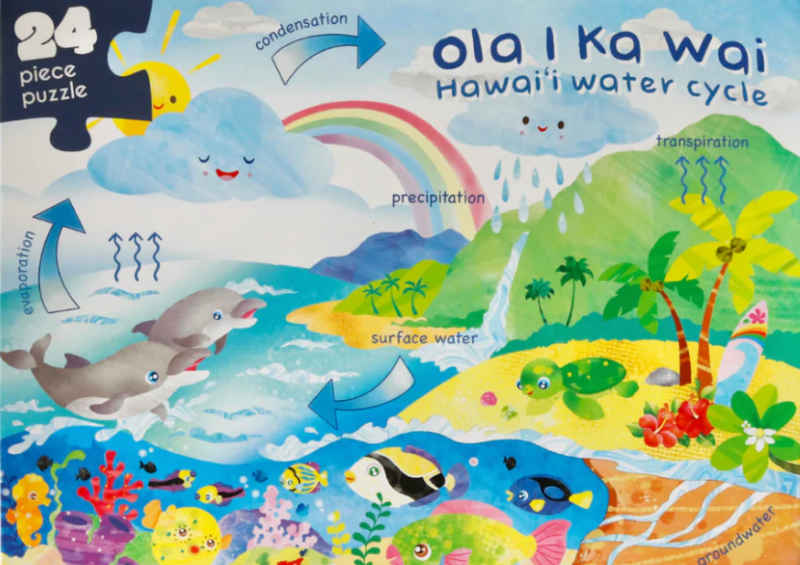 Hawaii Water Cycle Puzzle