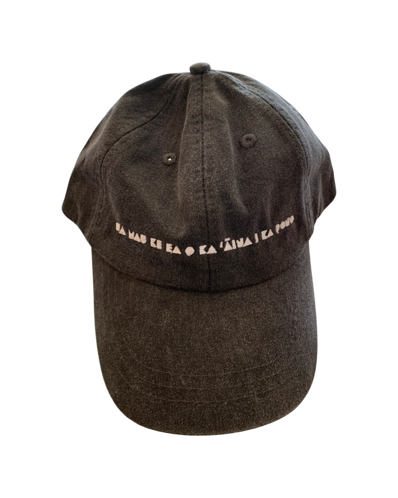 Ua Mau Dad Hat (assorted colors)